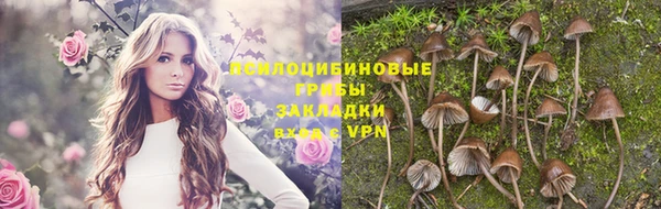 МДПВ Белокуриха